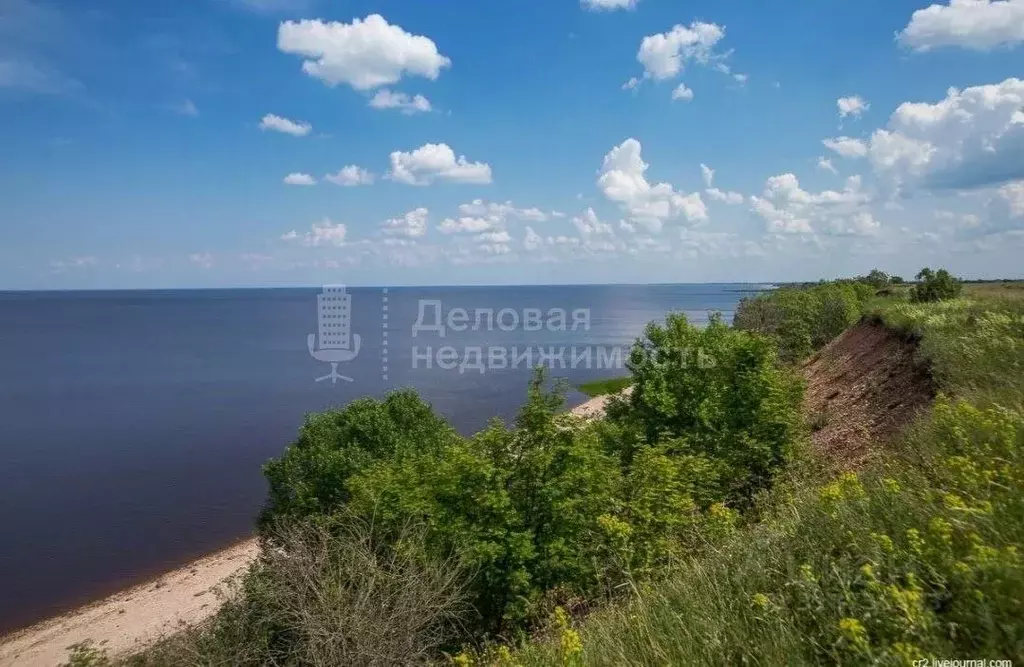 Участок в Новгородская область, Старорусский район, Наговское с/пос, ... - Фото 1