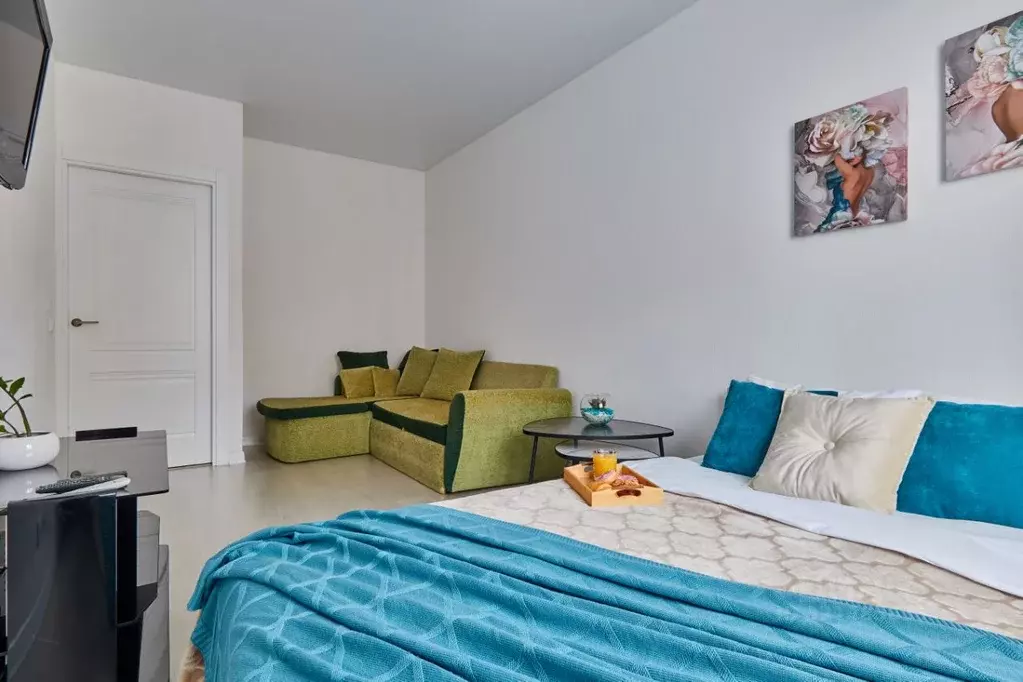 1-к кв. Московская область, Пушкино ул. Просвещения, 10к2 (33.0 м) - Фото 1