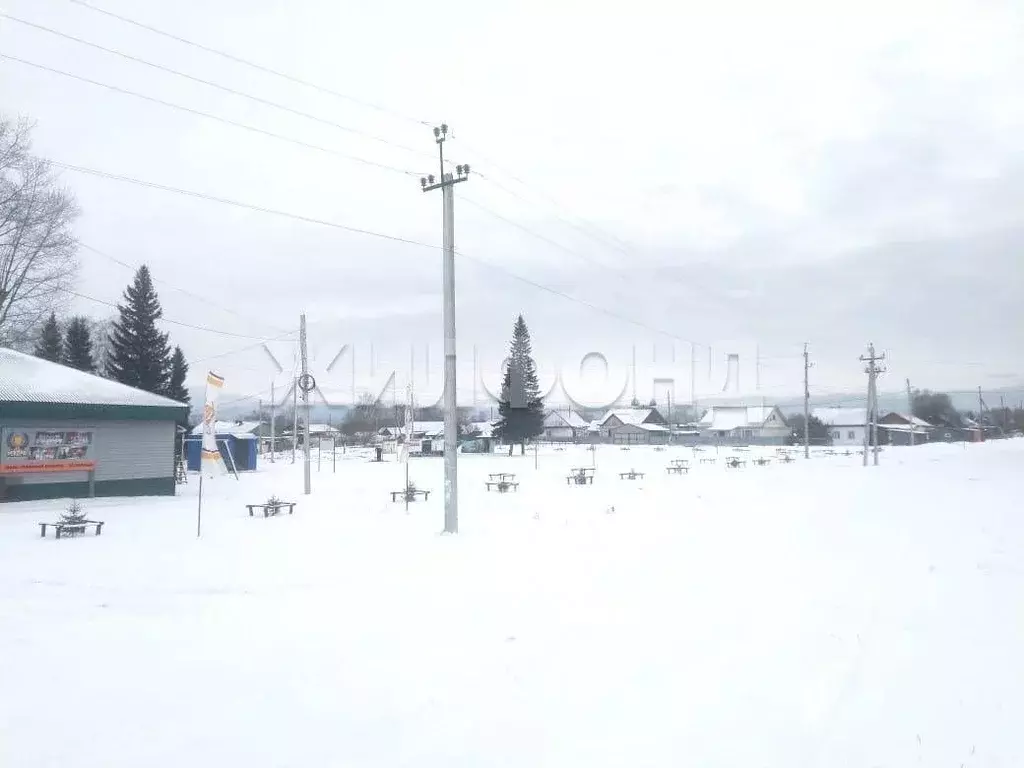 Участок в Новосибирская область, Новосибирский район, Ярковский ... - Фото 1