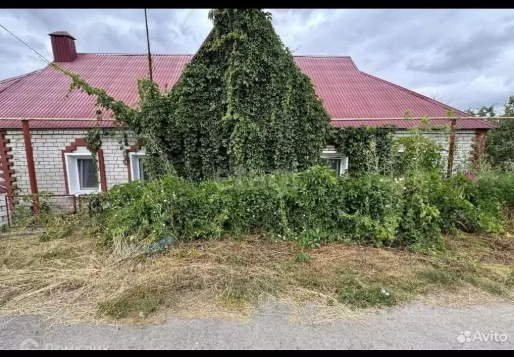 Дом в Липецкая область, Данков Сторожевская ул., 81 (56 м) - Фото 1