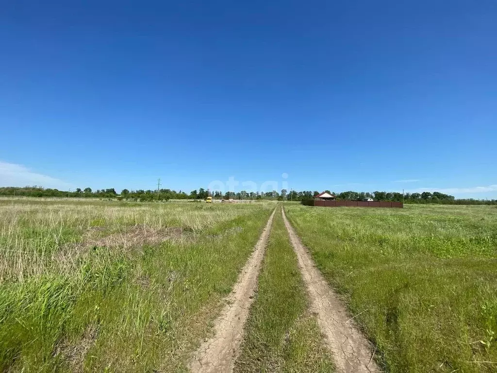 Участки поселок пригородный. Пригородный Краснодарский край. Поселок Пригородный Курская область. Озеро Пригородное Краснодар. Поселок Пригородный Краснодар фото.