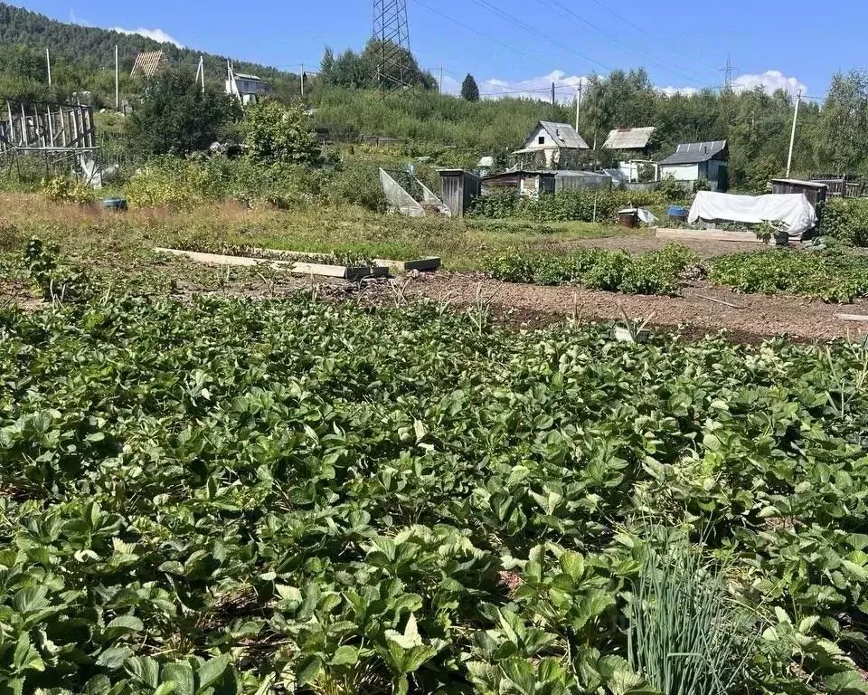 Участок в Иркутская область, Байкальск г. Слюдянский район, ... - Фото 2