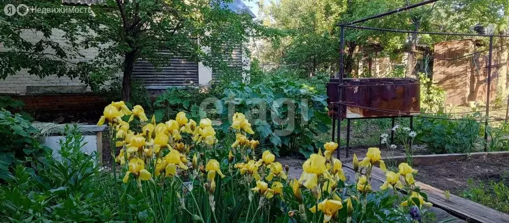Дом в Саратовская область, муниципальное образование Энгельс, СНТ ... - Фото 2