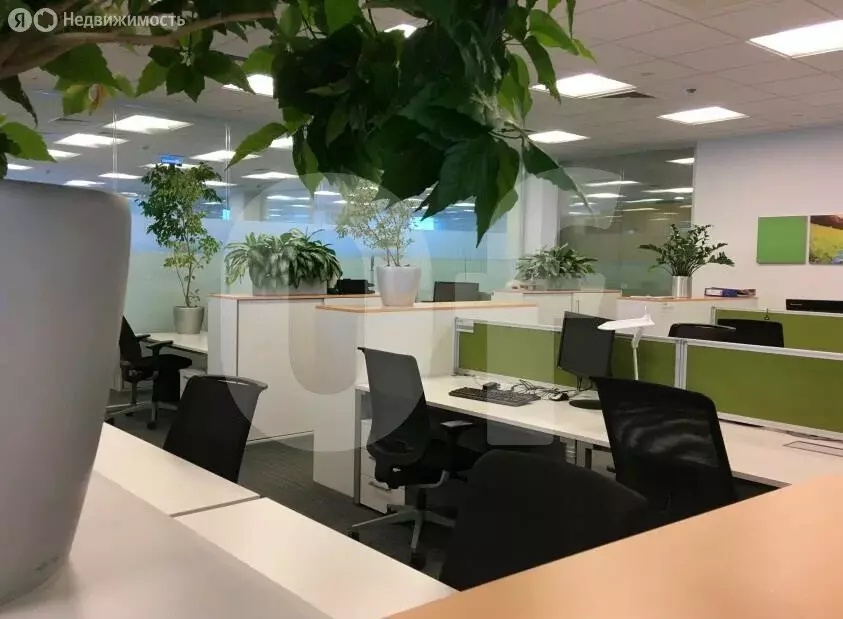 Офис (2178 м) - Фото 2