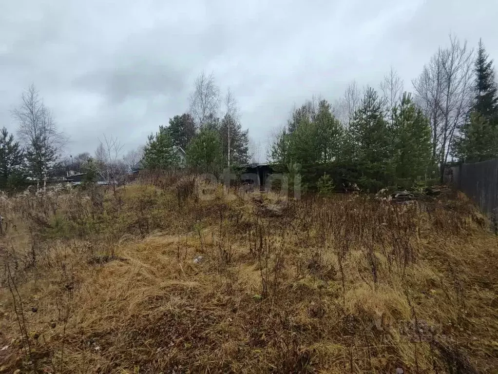 Участок в Архангельская область, Котлас ул. Бор (10.0 сот.) - Фото 0