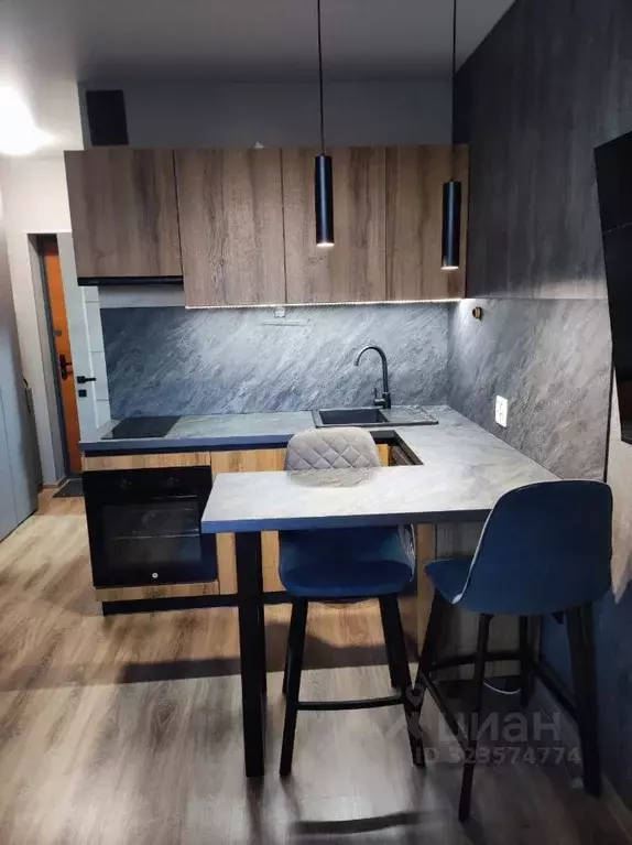 Студия Пензенская область, Пензенский район, Засечный сельсовет, с. ... - Фото 1