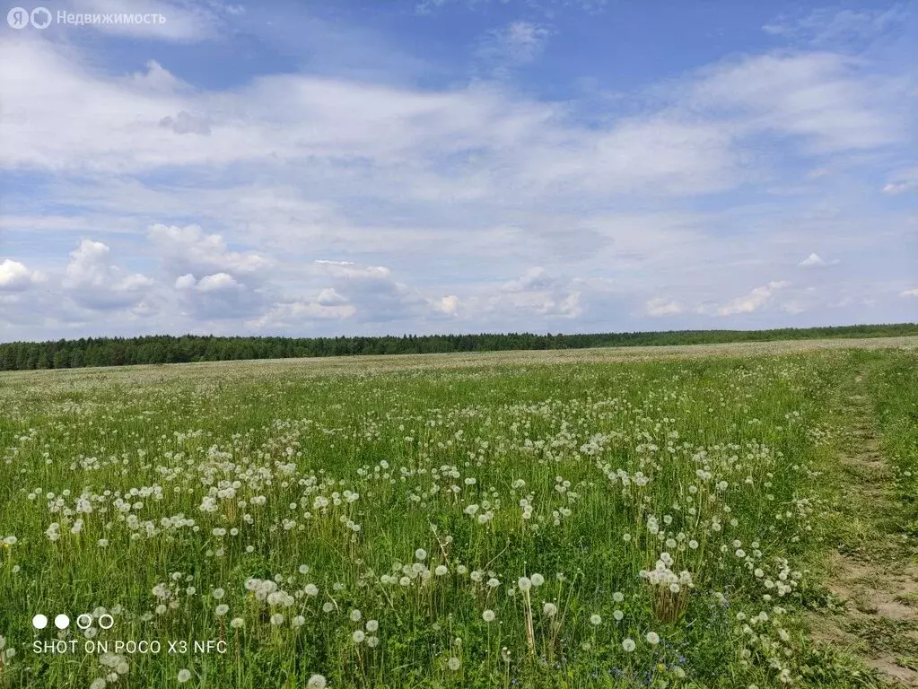 Участок в Карабаново, Радужная улица (15 м) - Фото 1