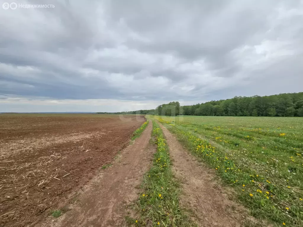 Участок в Тукаевский район, село Биклянь (6955.8 м) - Фото 1