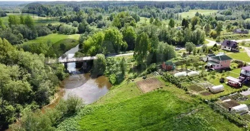 Участок в Ленинградская область, Кингисеппский район, Нежновское ... - Фото 2