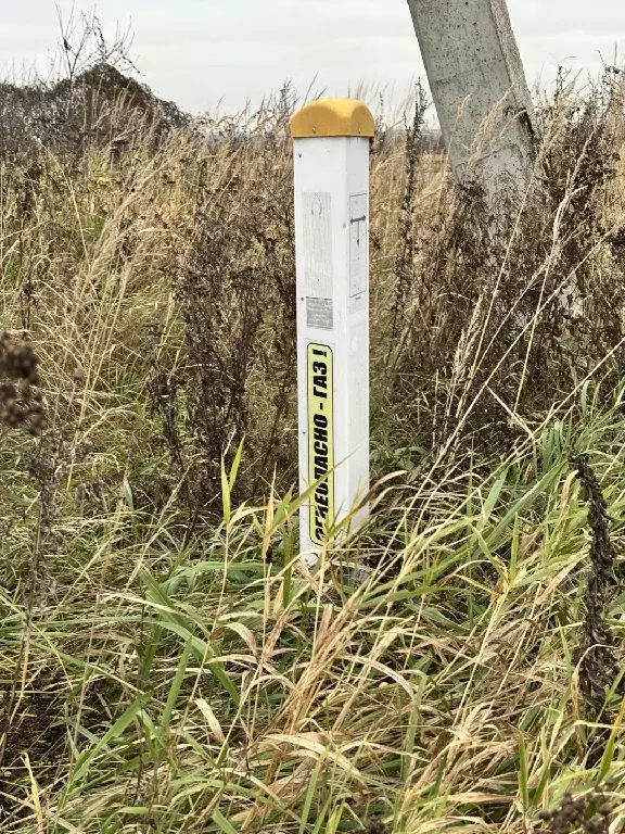 Продается участок в д. Захариха - Фото 1