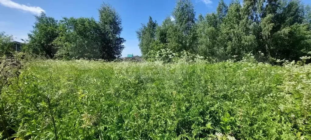 Участок 9 сот. (СНТ, ДНП) - Фото 1