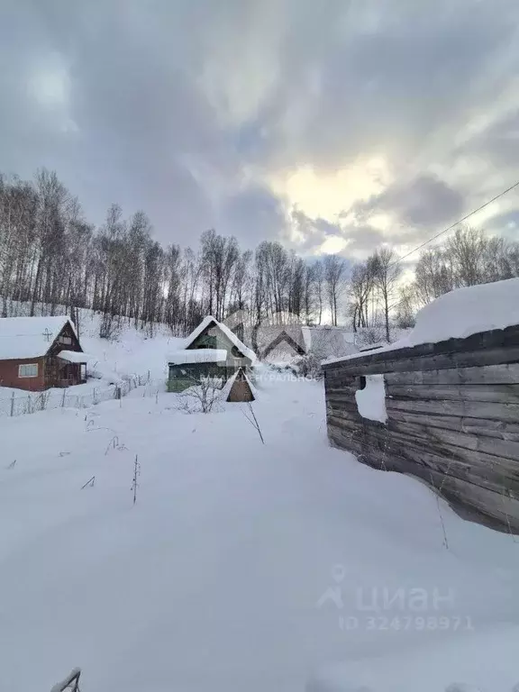 Участок в Новосибирская область, Новосибирский район, Плотниковский ... - Фото 2