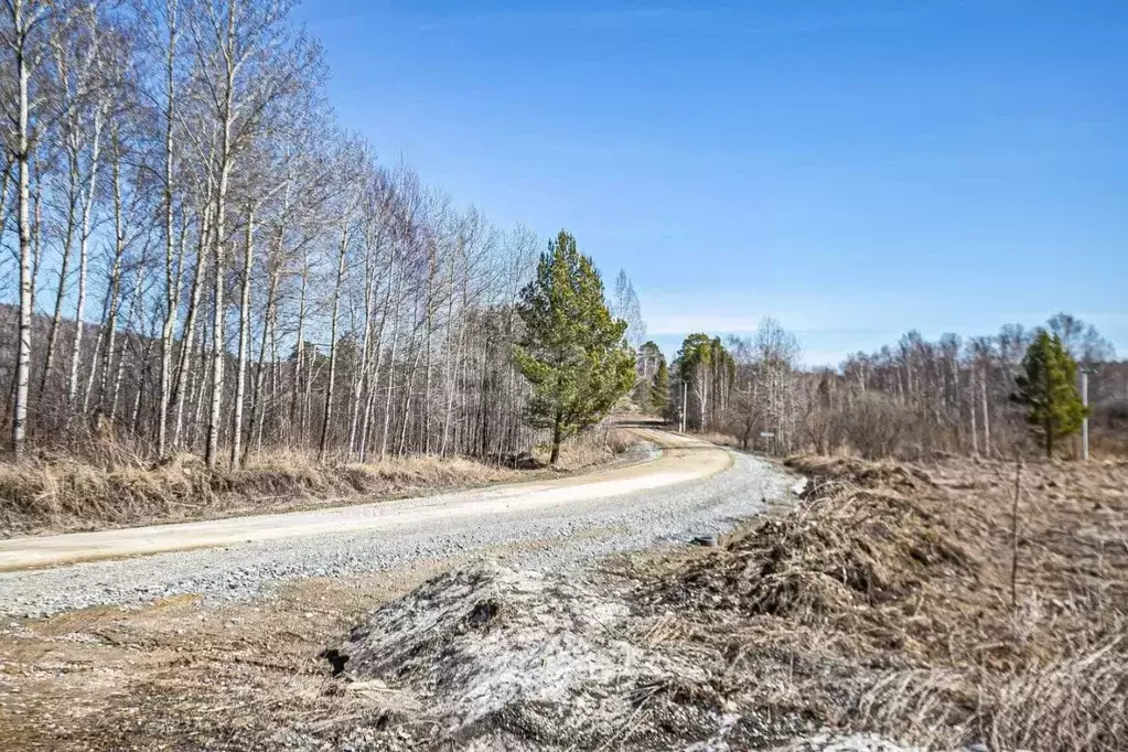 Участок в Новосибирская область, Искитимский район, Морозовский ... - Фото 2