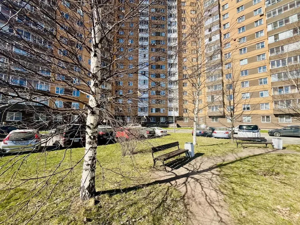 3-к кв. Санкт-Петербург ул. Добровольцев, 2 (78.3 м) - Фото 1