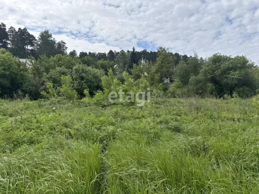 Участок в Алтайский край, Барнаул городской округ, пос. Черницк  (12.4 ... - Фото 1