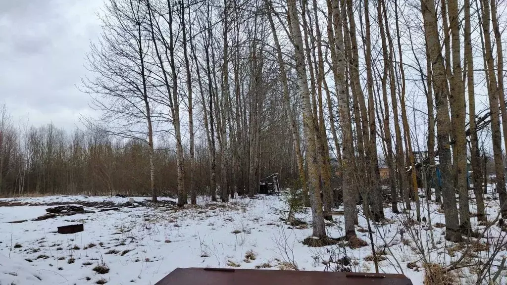 Участок в Новгородская область, Новгородский район, Трубичинское ... - Фото 0