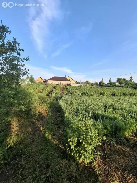 Участок в Уязытамак, Лесная улица (17 м) - Фото 1