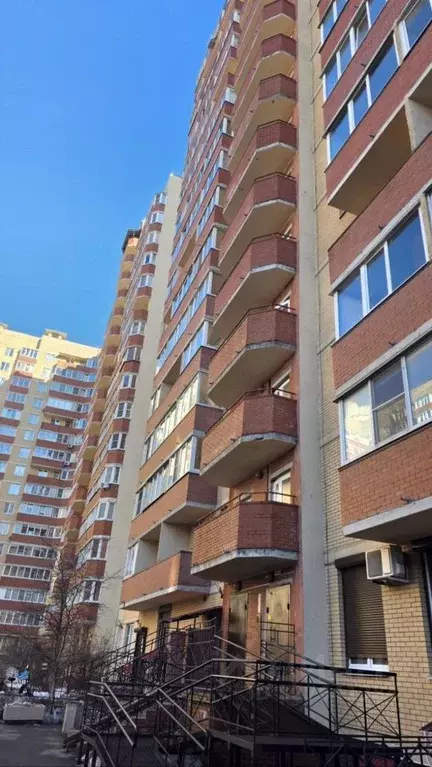 Студия Санкт-Петербург Кондратьевский просп., 70к1 (27.1 м) - Фото 1