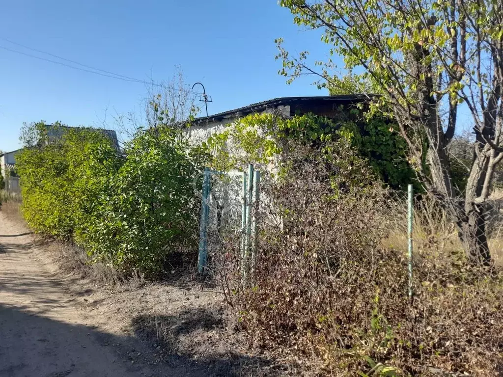 Дом в Волгоградская область, Волгоград Аврора СНТ, ул. Мурманская (24 ... - Фото 1