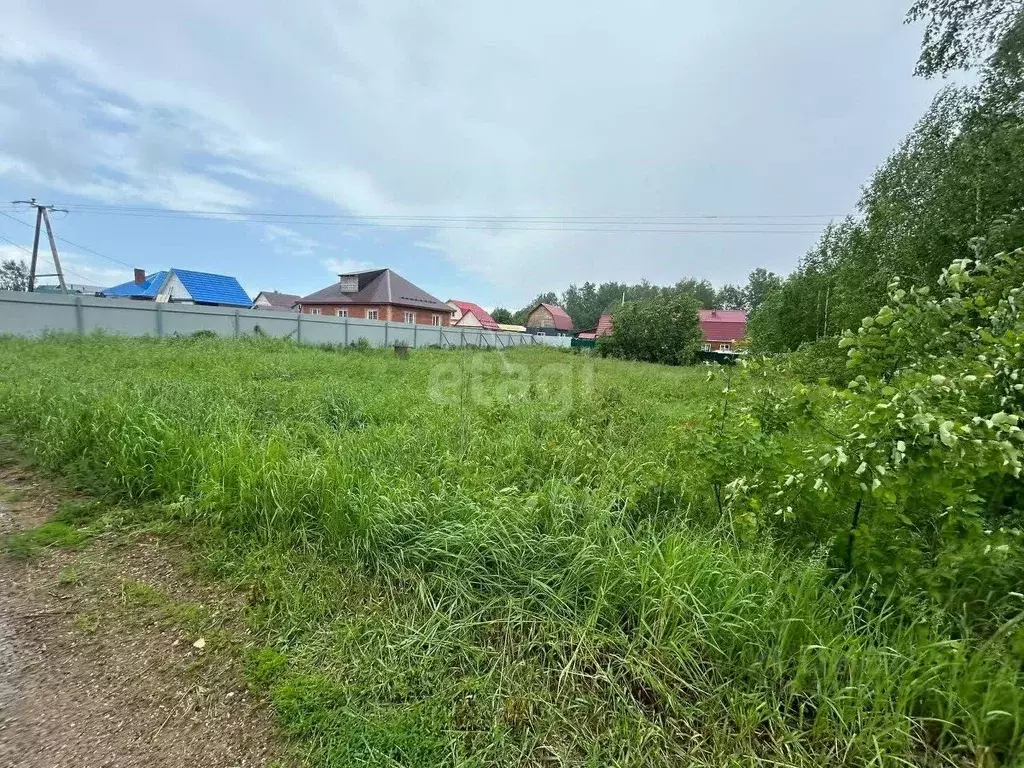 Участок в Томская область, Томский район, Деревня Петровский уч ул. ... - Фото 2