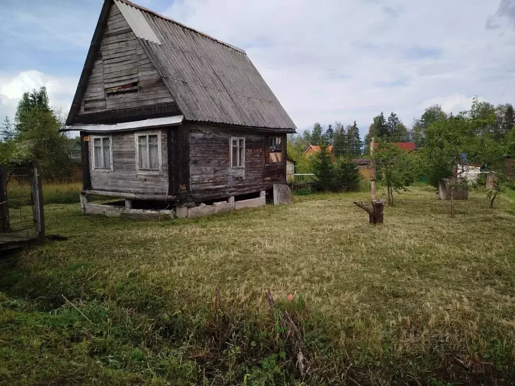 Участок в Ленинградская область, Лужский район, Мшинское с/пос, ... - Фото 1
