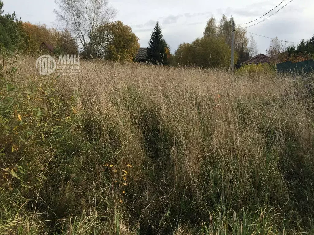 Продается участок в д. Дятлово - Фото 1