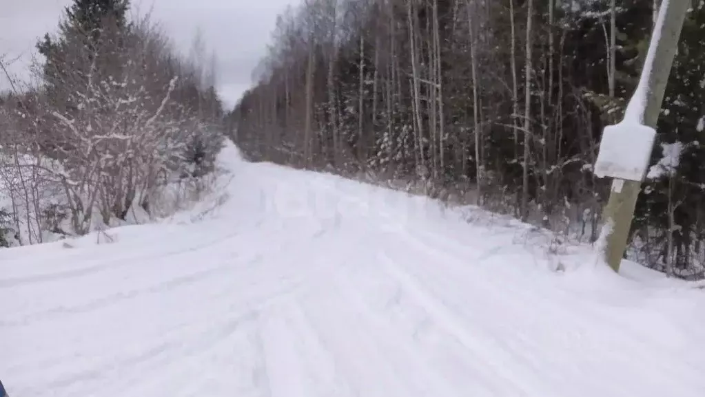 Участок в Коми, Корткеросский район, Посад СДТ 5-я линия (10.06 сот.) - Фото 1