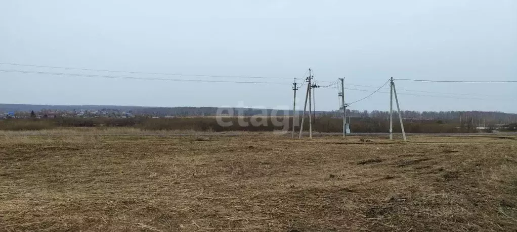 Участок в Кемеровская область, Кемеровский район, с. Ягуново Заречная ... - Фото 0