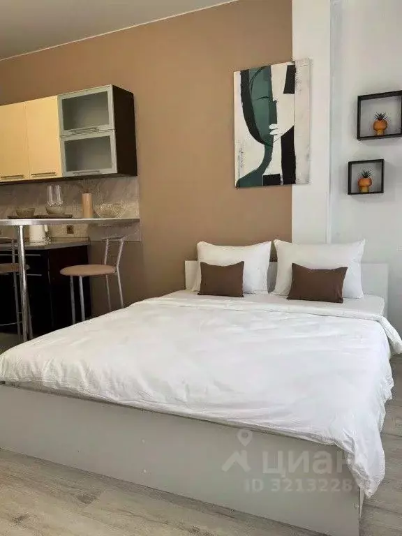 1-к кв. Санкт-Петербург Московский просп., 73к5 (31.0 м) - Фото 2