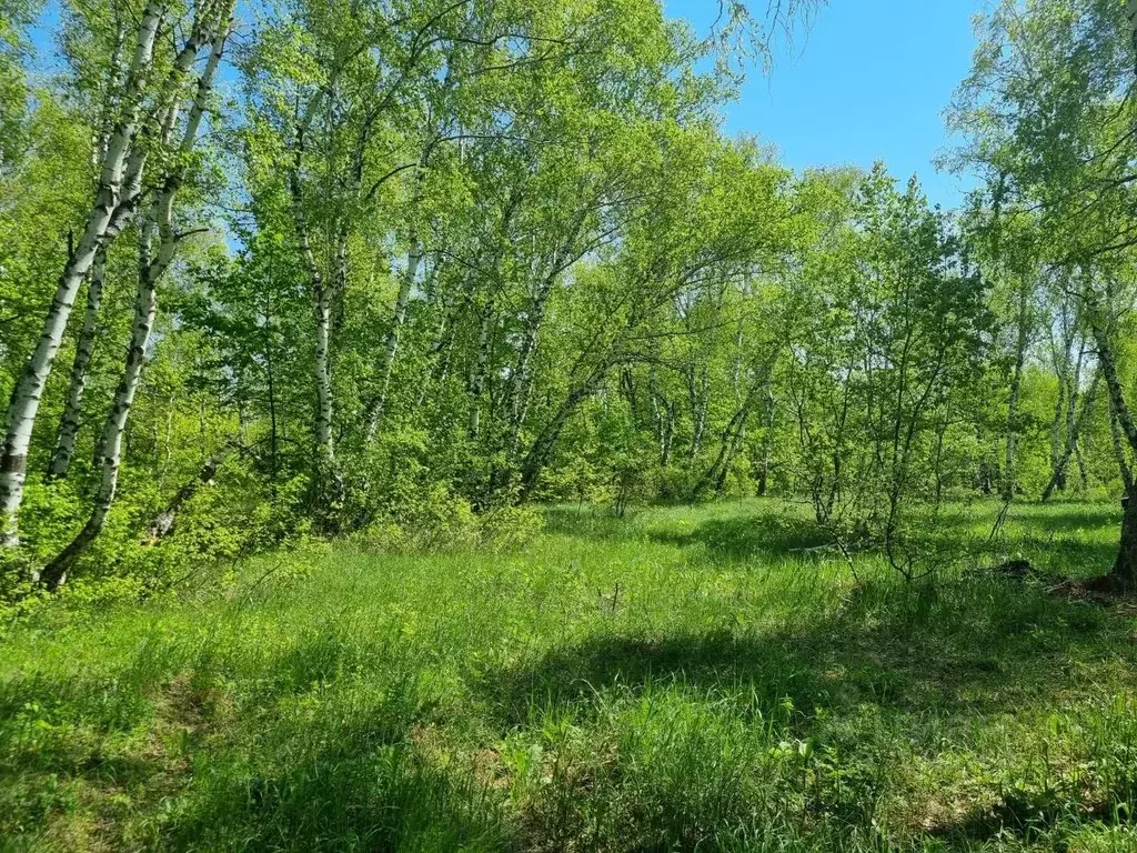 Участок в Саратовская область, Саратов Водник-67 СНТ,  (9.0 сот.) - Фото 1