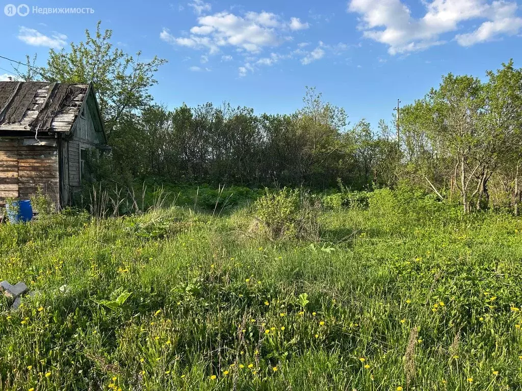 Дом в деревня Следнево, квартал Октябрьский (20 м) - Фото 0