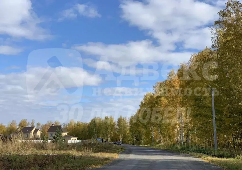 Участок в Тюменская область, Нижнетавдинский муниципальный округ, ... - Фото 2