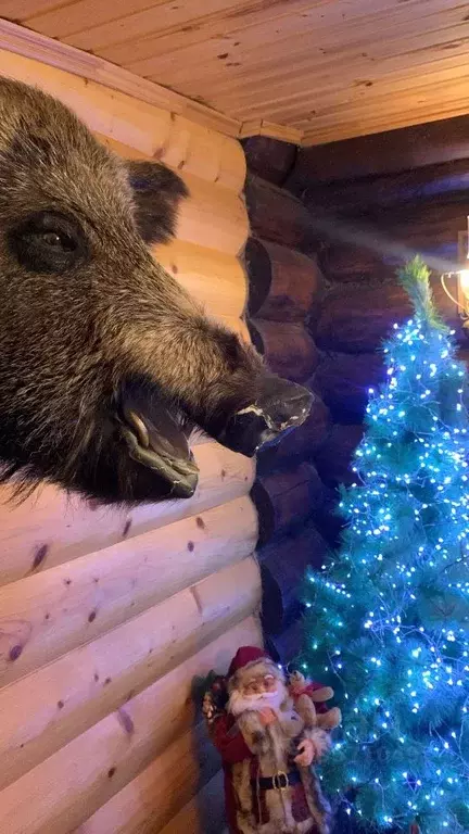 Дом в Московская область, Солнечногорск городской округ, д. ... - Фото 1