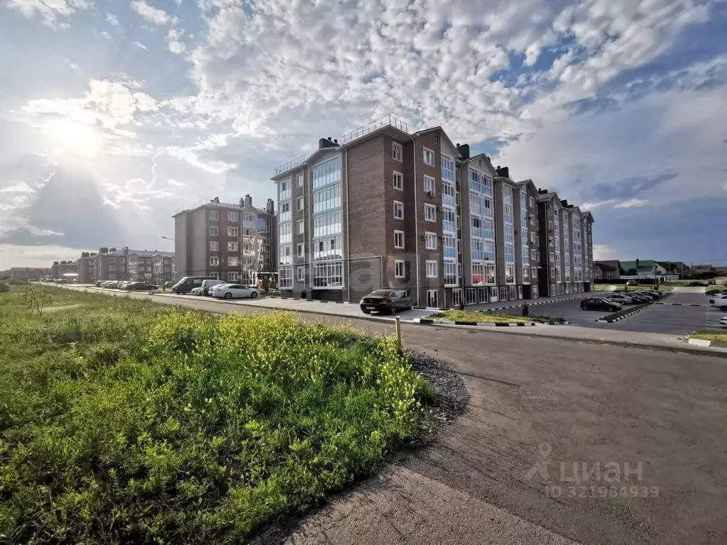 Офис в Белгородская область, Белгородский район, Северный городское ... - Фото 2