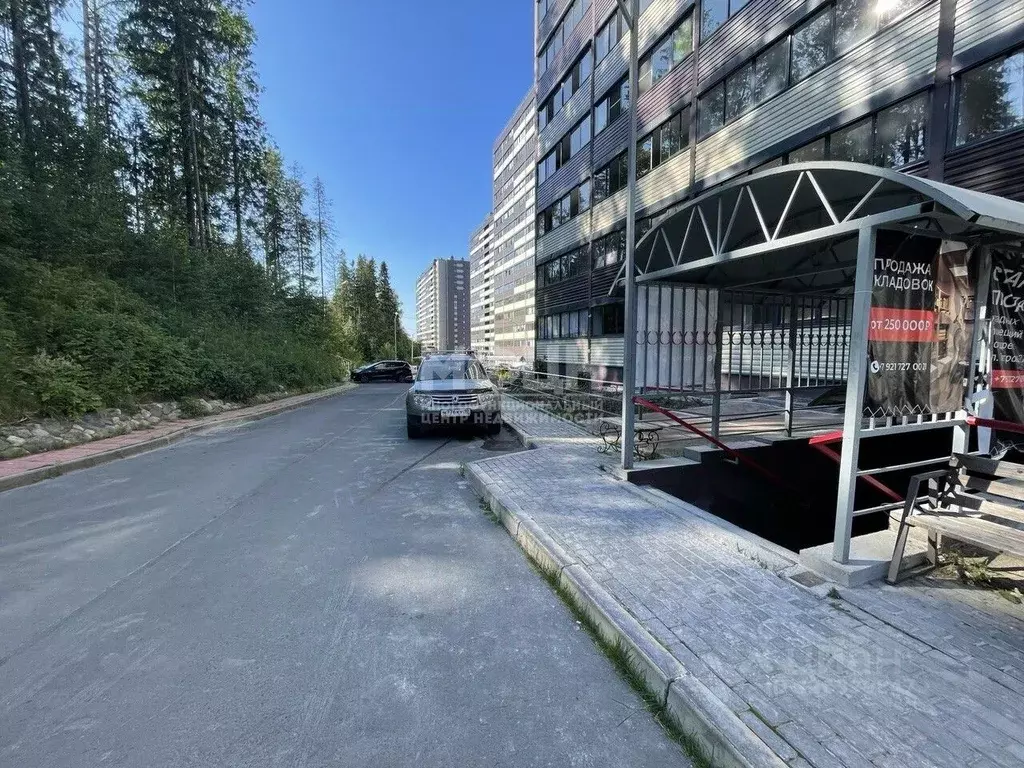 Помещение свободного назначения в Карелия, Петрозаводск ул. Петрова, ... - Фото 2