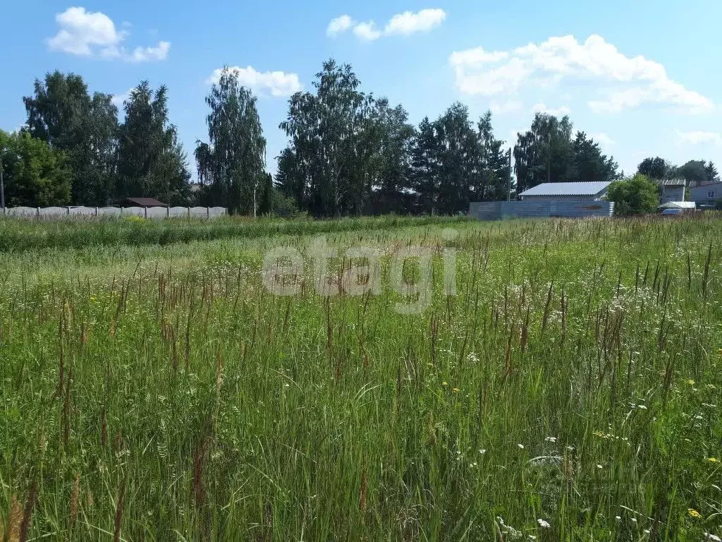 Участок в Брянская область, Брянский район, Отрадненское с/пос, с. ... - Фото 1