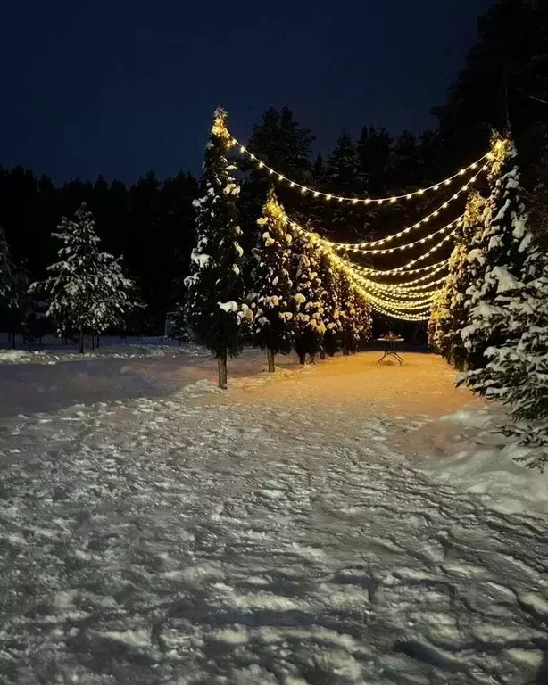 Дом в Тверская область, Кимрский муниципальный округ, д. Святье 107 ... - Фото 1