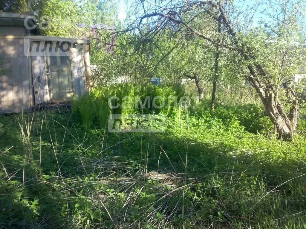 Участок в Нижегородская область, Балахнинский муниципальный округ, ... - Фото 1