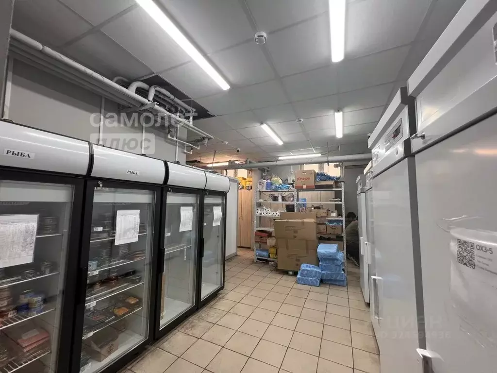 Торговая площадь в Московская область, Балашиха Железнодорожный мкр, ... - Фото 2