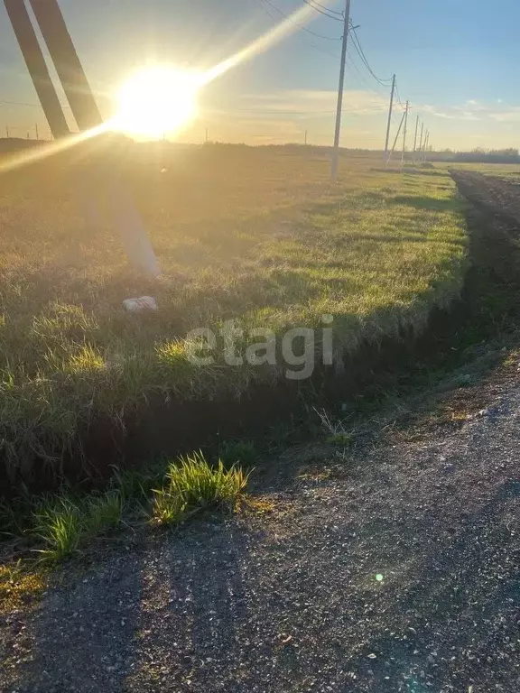 Участок, 12 сот., поселения (ижс) - Фото 0