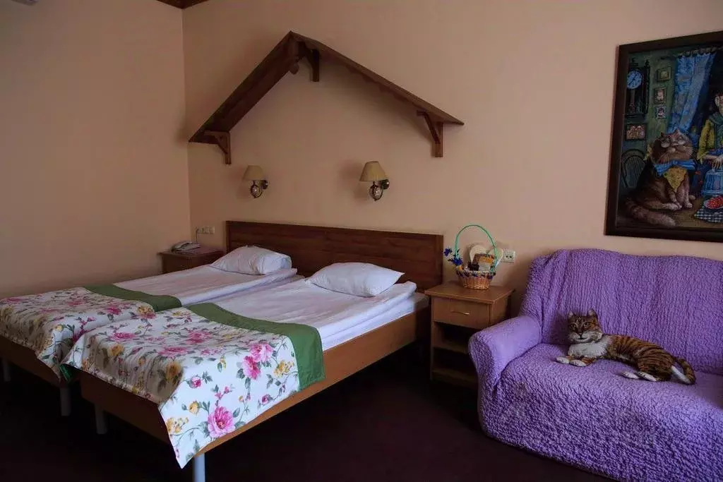 Комната Ярославская область, Мышкин ул. Карла Либкнехта, 27 (24.0 м) - Фото 2