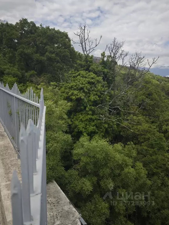 Участок в Крым, Ялта муниципальный округ, Ореанда пгт  (20.0 сот.) - Фото 2