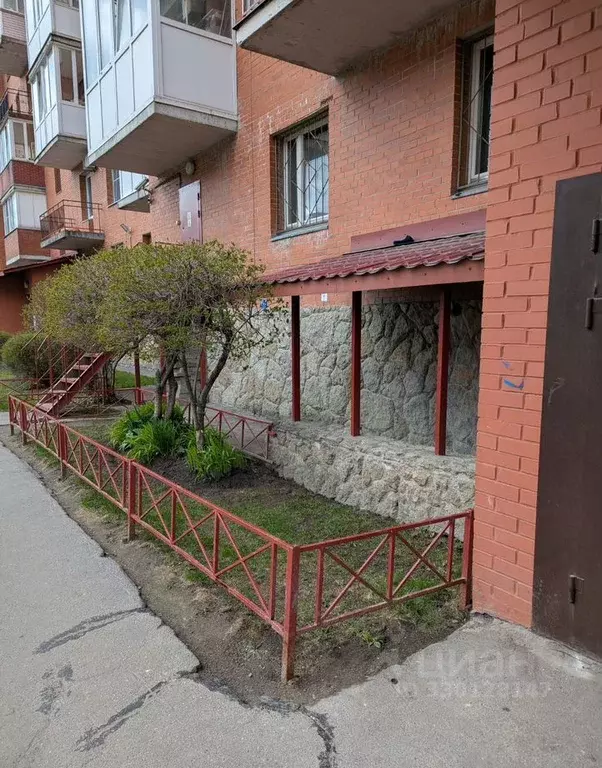 Помещение свободного назначения в Санкт-Петербург Новоколомяжский ... - Фото 1