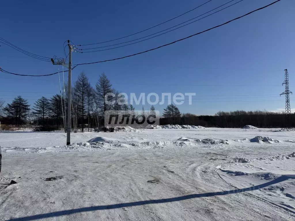 Участок в Сахалинская область, Анивский городской округ, с. Мицулевка  ... - Фото 1