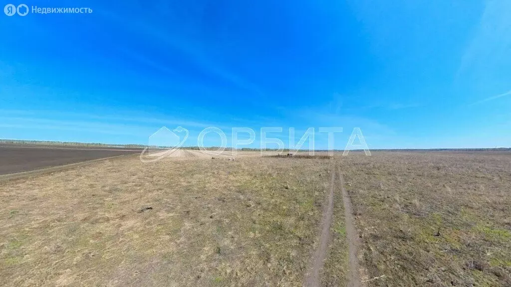 Участок в Тюменский район, деревня Малиновка (4.4 м) - Фото 0