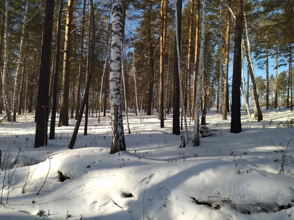 Участок в Иркутская область, Иркутский муниципальный округ, Маркова ... - Фото 1