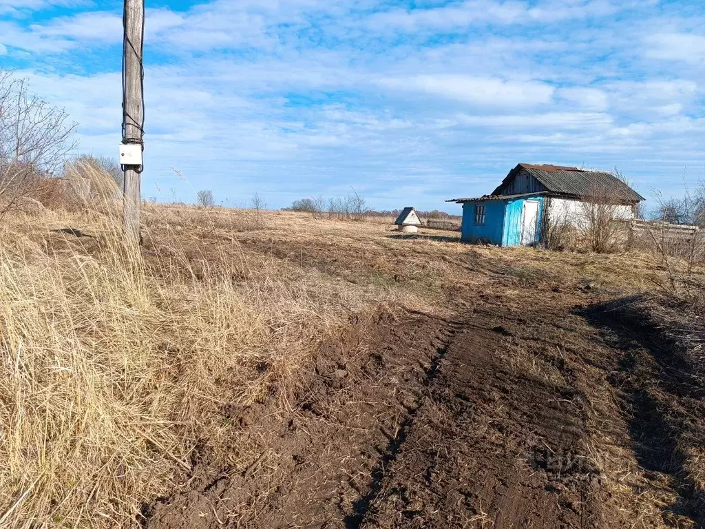 Участок в Тульская область, Алексин городской округ, д. Белолипки  ... - Фото 1