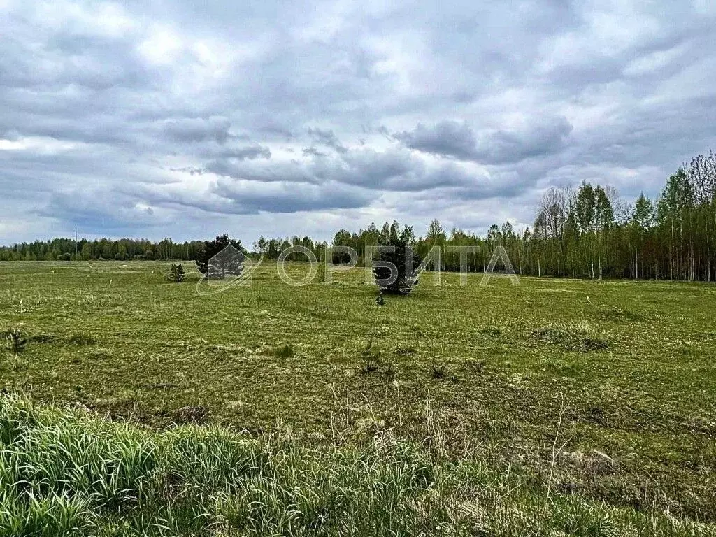 Участок в Тюменская область, Нижнетавдинский муниципальный округ, пос. ... - Фото 1