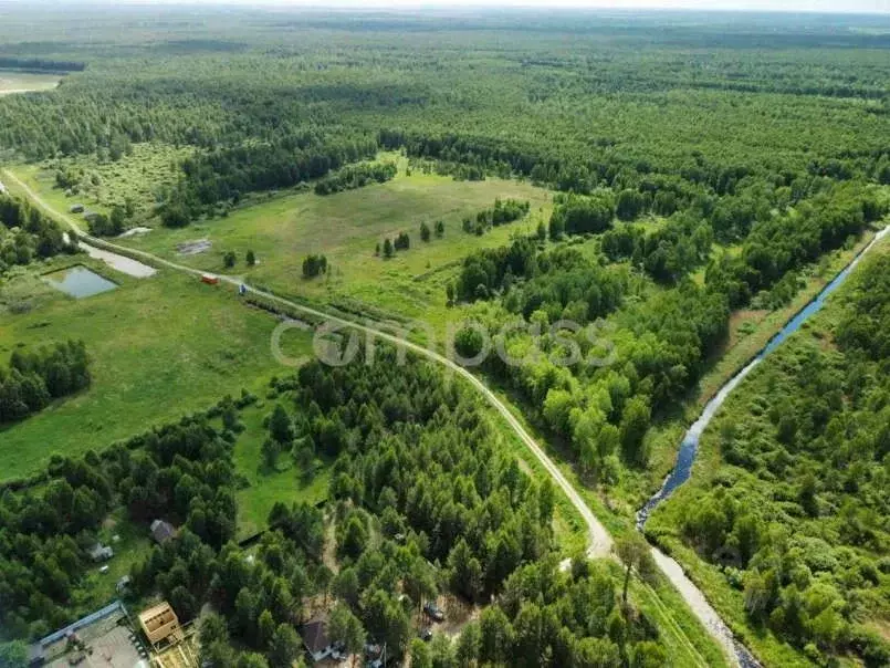 Участок в Тюменская область, Нижнетавдинский район, Сундукуль СНТ  ... - Фото 1