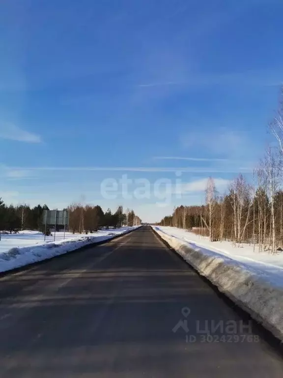 Участок в Владимирская область, Муромский район, Ковардицкое ... - Фото 1